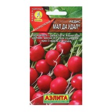 Seeds Radis 