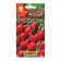 Seeds Radis "Mal da Remal", 3 g