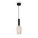 Suspended lamp Freya FR9001PL-01B Delta, 200x260x1120 mm, E27, 1x60W, black color