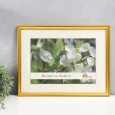 Photo frame plastic 30x40 cm 1017-1056