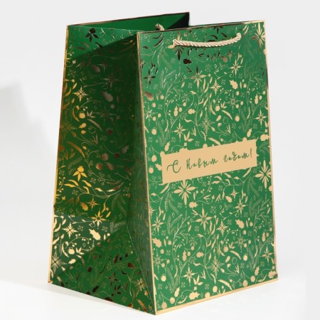 Laminated package “I want to a fairy tale”, 23 x 35 x 20 cm, new year-1