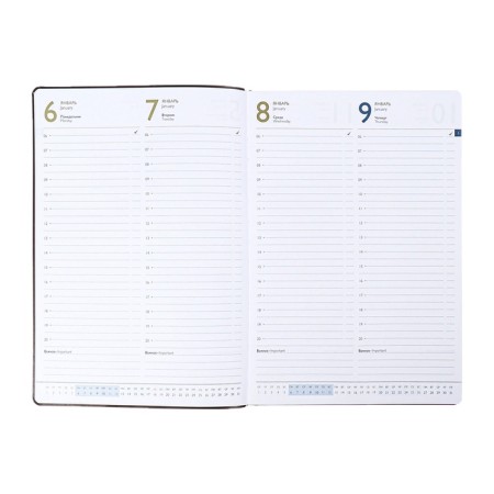 Dated 2025 diary, Escalada, A4, 120 sheets, soft cover, artificial leather, foil embossing, liesse, block 80 g/m2, brown-9