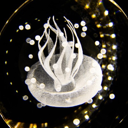 Lamp "Medusa" LED 7W 4000k gold 11x10x11-110cm Bayerlux-5