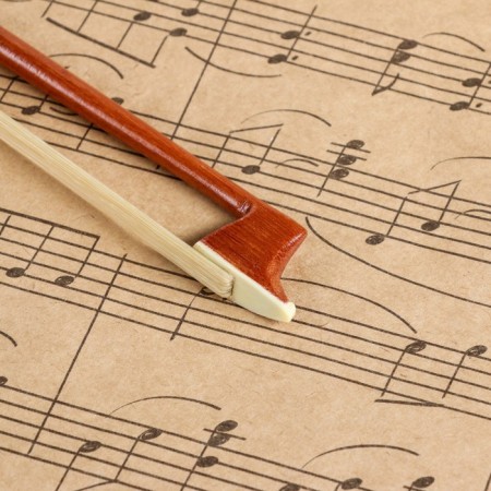 Music Life 1/4, 55 cm violin-2