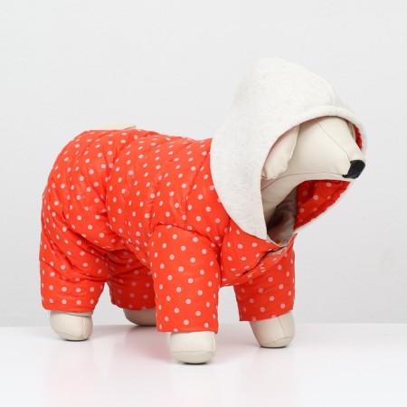 Assumes "for a walk", size 18 (ds 40 cm, fire 50 cm, Osh 38 cm), orange-2