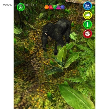 4D encyclopedia in augmented reality "Animal World"-14