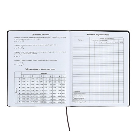 The universal diary for grades 1-11 is "anime", a solid cover made of artificial leather, application, lies, 48 ​​sheets, blue-13