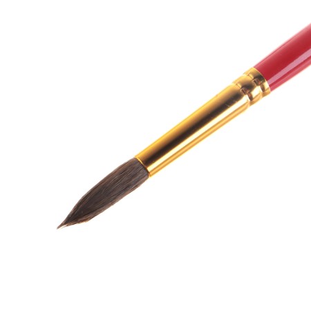 Pony brush, round No. 8, "gamma"-1