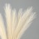 Pampas artificial grass, height 43 cm, 5 brushes, beige color