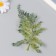 Artificial plant for creating a flusiness "Cypress branch" 15.5 cm