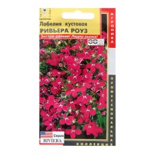Lobelia seeds bush. 