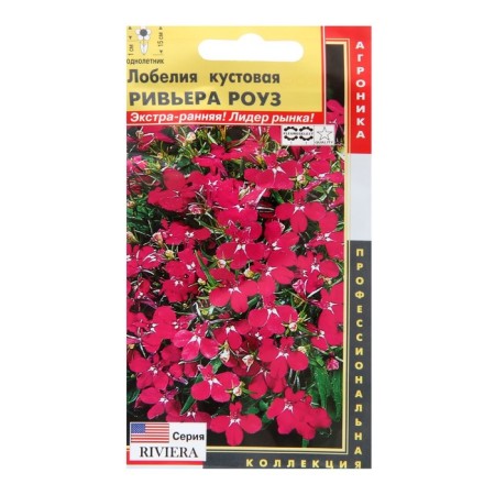 Lobelia seeds bush. "Riviera Rose", dragees, 8pcs
