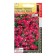 Lobelia seeds bush. "Riviera Rose", dragees, 8pcs