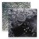 Photophone bilateral cardboard density 350 g "Shards" 50x50 cm