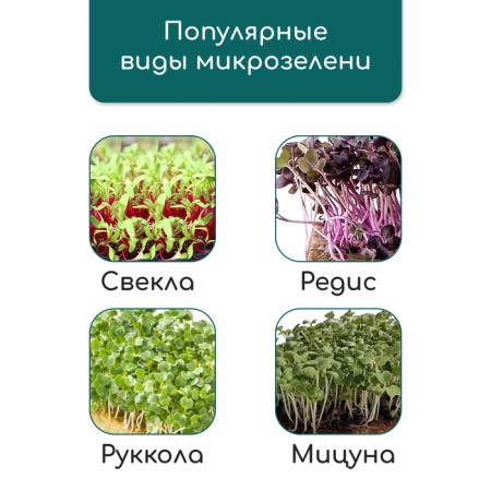 Coconut fiber rug, for growing microwaves, 50 × 25 cm, Greengo-9