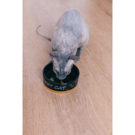 Ceramic bowl "Black cat" 300 ml 12.5 x 4.5 cm, black-orange-7