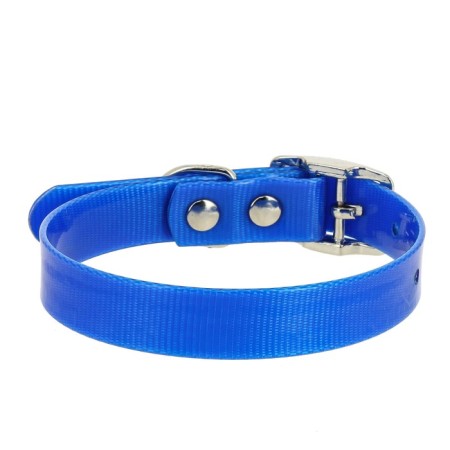 Collar from biotan, Osh 26-35 x 1.5 cm, blue