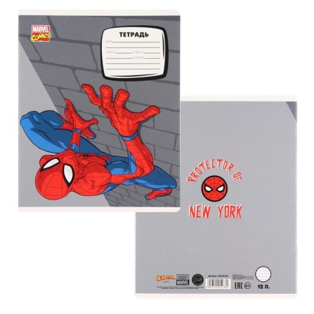 Notebook in a ruler of 12 sheets, 5 types of mix, cover coated cardboard, spider-man-5