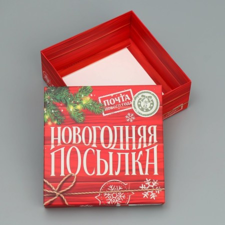 Box the team "New Year's package", 17 x 17 x 7 cm, New Year-3