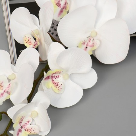 Artificial flowers "velvety phalaenopsis" 10x90 cm, white-1