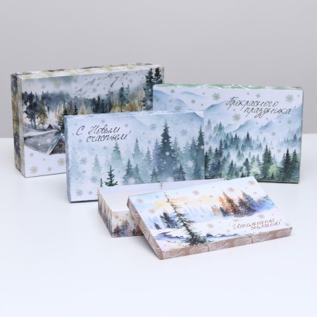 Set of boxes 4 in 1 "Winter miracles", 30 x 20 x 8 - 24 x 14 x 5 cm