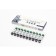 Cordyceps, Elsam, 10 vials