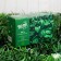 Garland “thread” 10 m, IP44, dark thread, 100 LED, green glow, 2 modes, solar battery