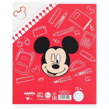 A set of notebooks 20 pieces, 12 sheets, Mickey Mouse-19