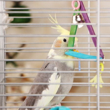 Toy for birds "Multi -colored triangle", with a bell, mix-5