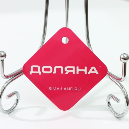 Standing for plate shares, 15.5 × 25.5 cm, chromium color-5