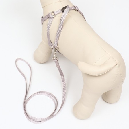 A set of ammunition with a soft harness, leash 120 x 1 cm, OG 34-58 cm, blue cage-2