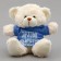 Soft toy Bear "Friends Forever" in the jacket