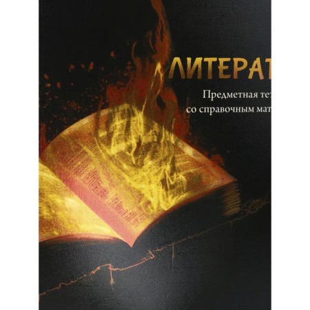 A notebook “Magic”, 48 sheets in the Literature line, covered cardboard, cold foil, twin varnish, offset block-2