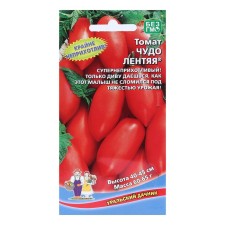 Seeds Tomat 