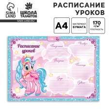 A4 Pony Lessons Schedule