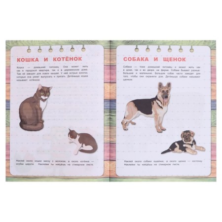 The first knowledge "Pets", with stickers, 21.5 × 28.5 cm, 16 p.-4