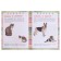 The first knowledge "Pets", with stickers, 21.5 × 28.5 cm, 16 p.