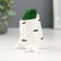 Kashpo concrete "stump birch" 7.5x8.5x7 cm with moss (moss green stabilized)