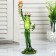 Souvenir Polystone Lac "Frog Freedom" 26x8x7 cm