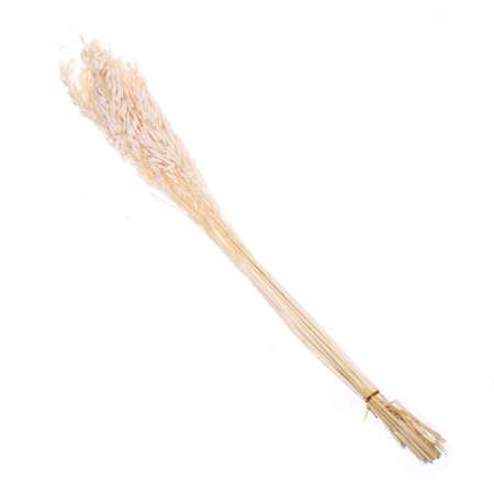 Sukhotzet "Sowing", White, 50 g in packaging-4