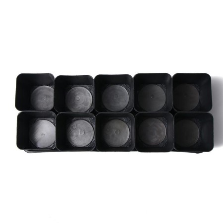 Set for seedlings: glasses of 700 ml (10 pcs), pan 44 × 18 cm, black, Greengo-12