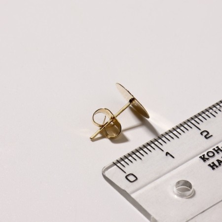 Fundamentals for corn with plugs, a platform of 10 mm, steam, color gold-2