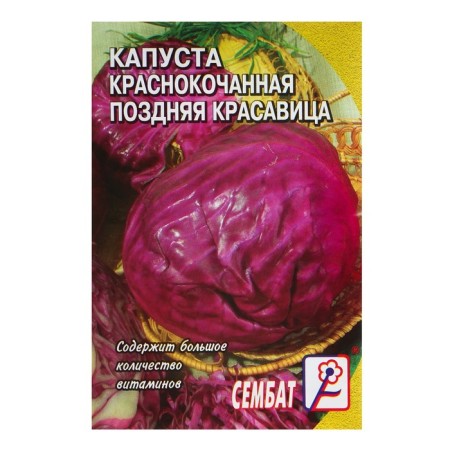Seeds of cabbage red -focused "Late beauty", 0.5g