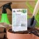 Seed peas "Sugar 2", 6 g