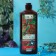 Shower gel with cedar extract, 500 ml, beauty pantry