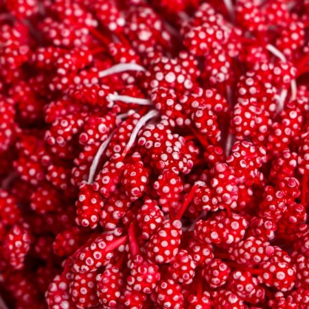 Stamens for flowers "droplets of red bubbled" 4x7 mm set 700 pcs length 6.5 cm-2