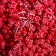 Stamens for flowers "droplets of red bubbled" 4x7 mm set 700 pcs length 6.5 cm