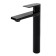 Wasserkraft Glan 6603 shell mixer, single -leaf, pour length 166 mm, black
