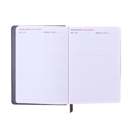 Dated diary of 2025, A6+, 176 sheets "Lyon", solid cover, pancake embossing, with liesa, block 80 g/m2, gray-7
