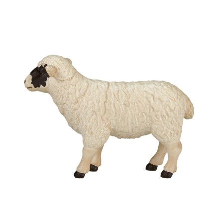 Figure Konik "Scottish black -headed sheep"-3